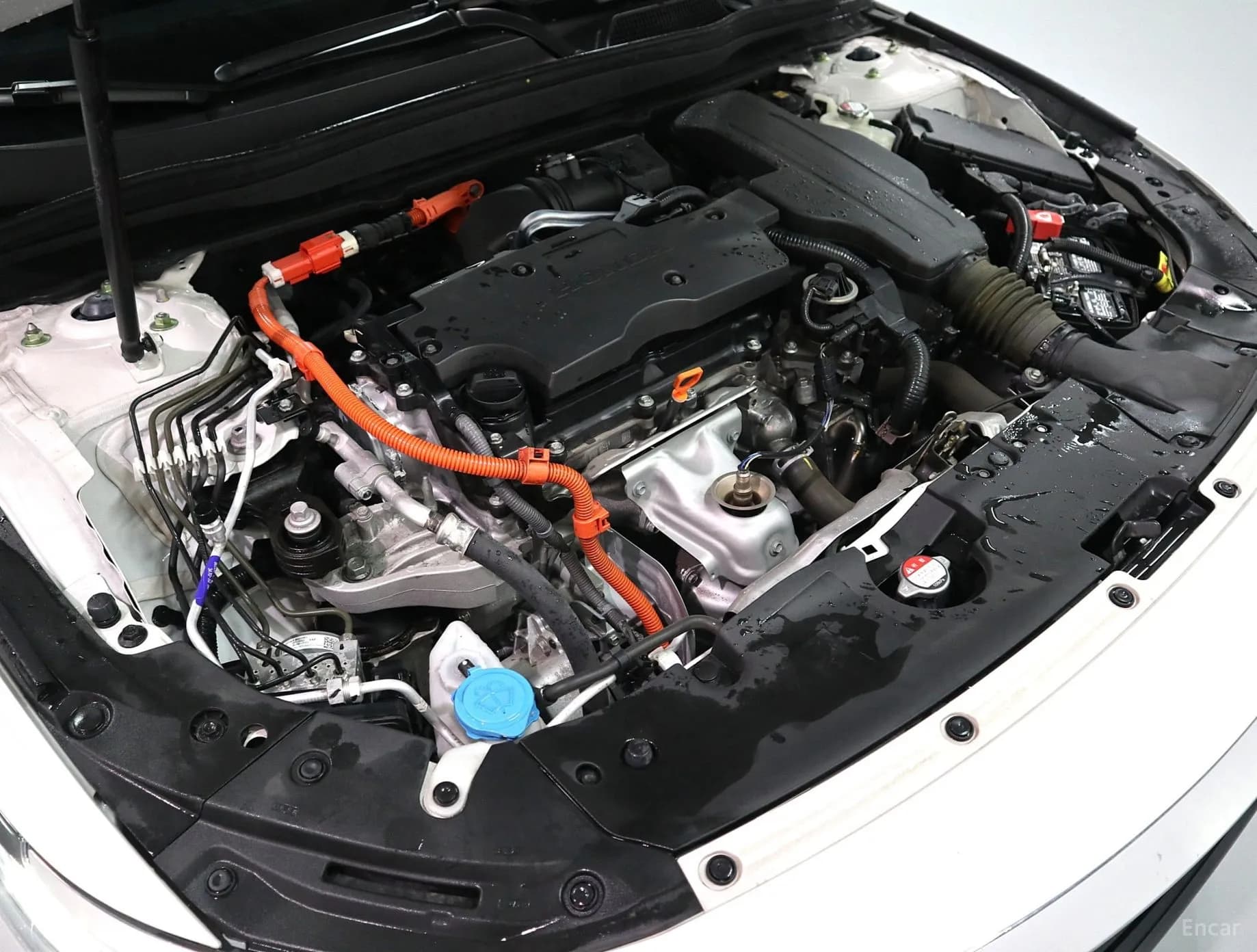 Accord 10th Generation
