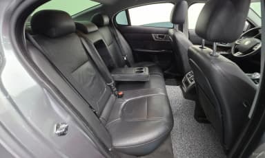 New XF