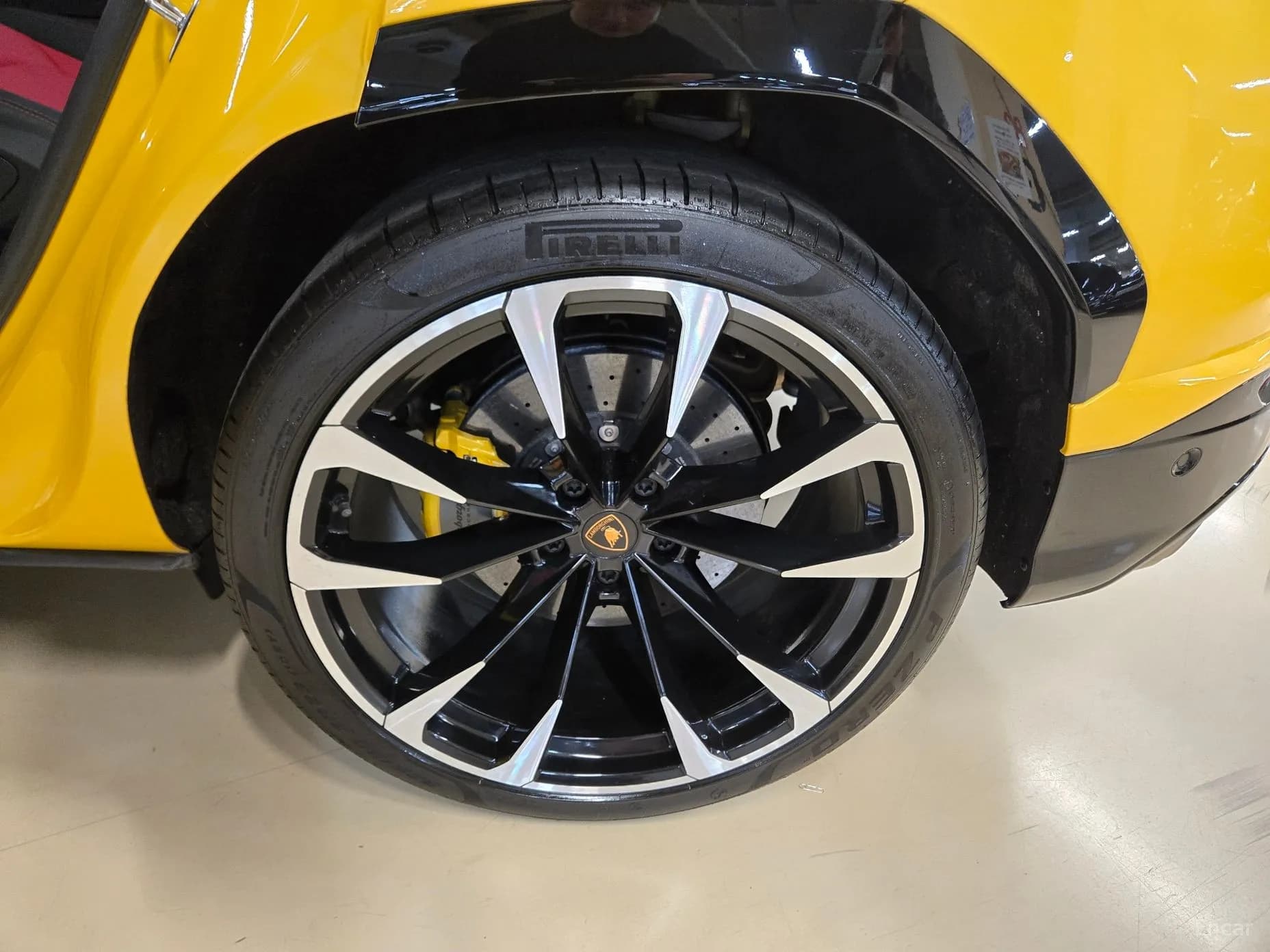 Urus