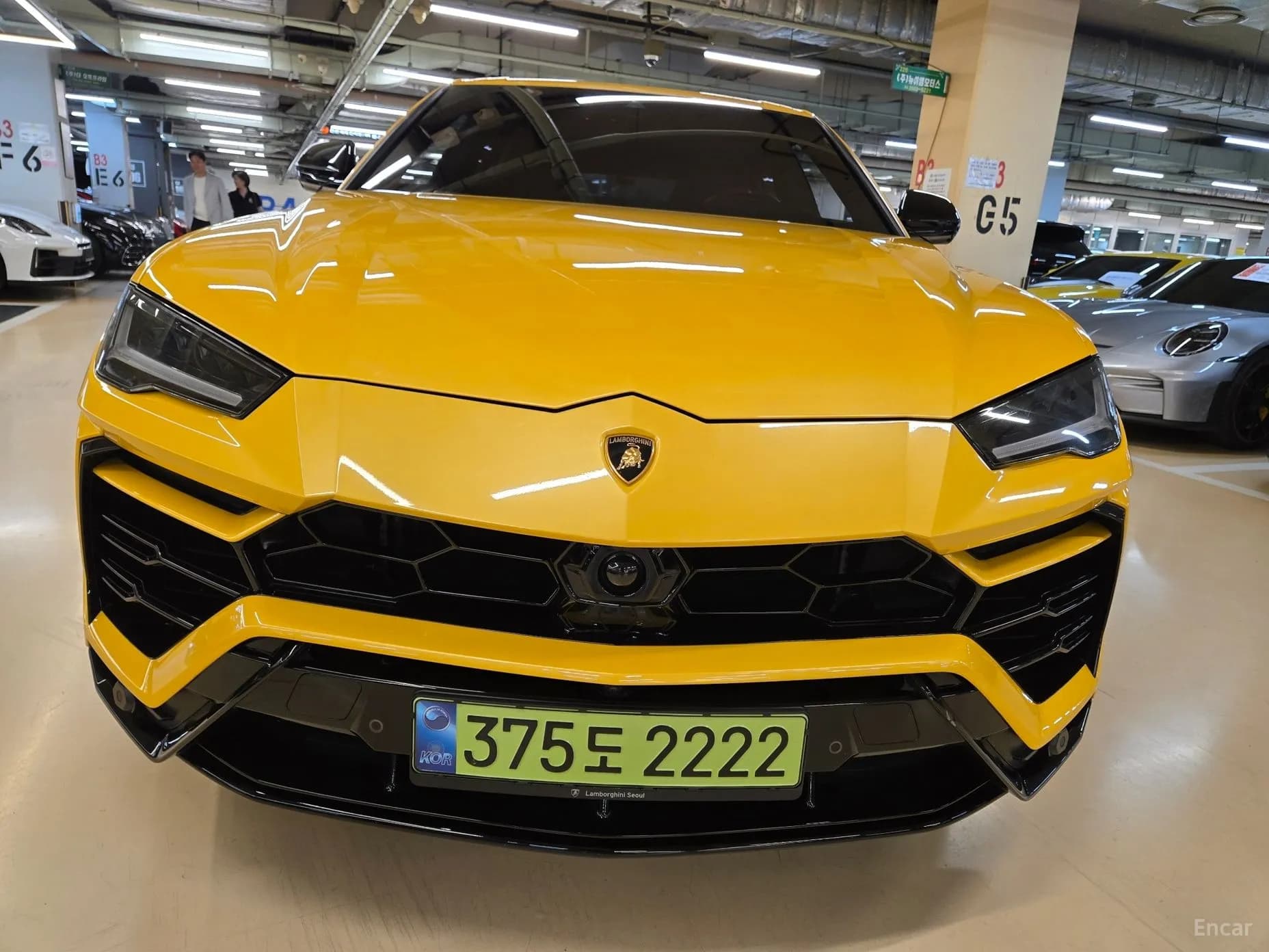 Urus