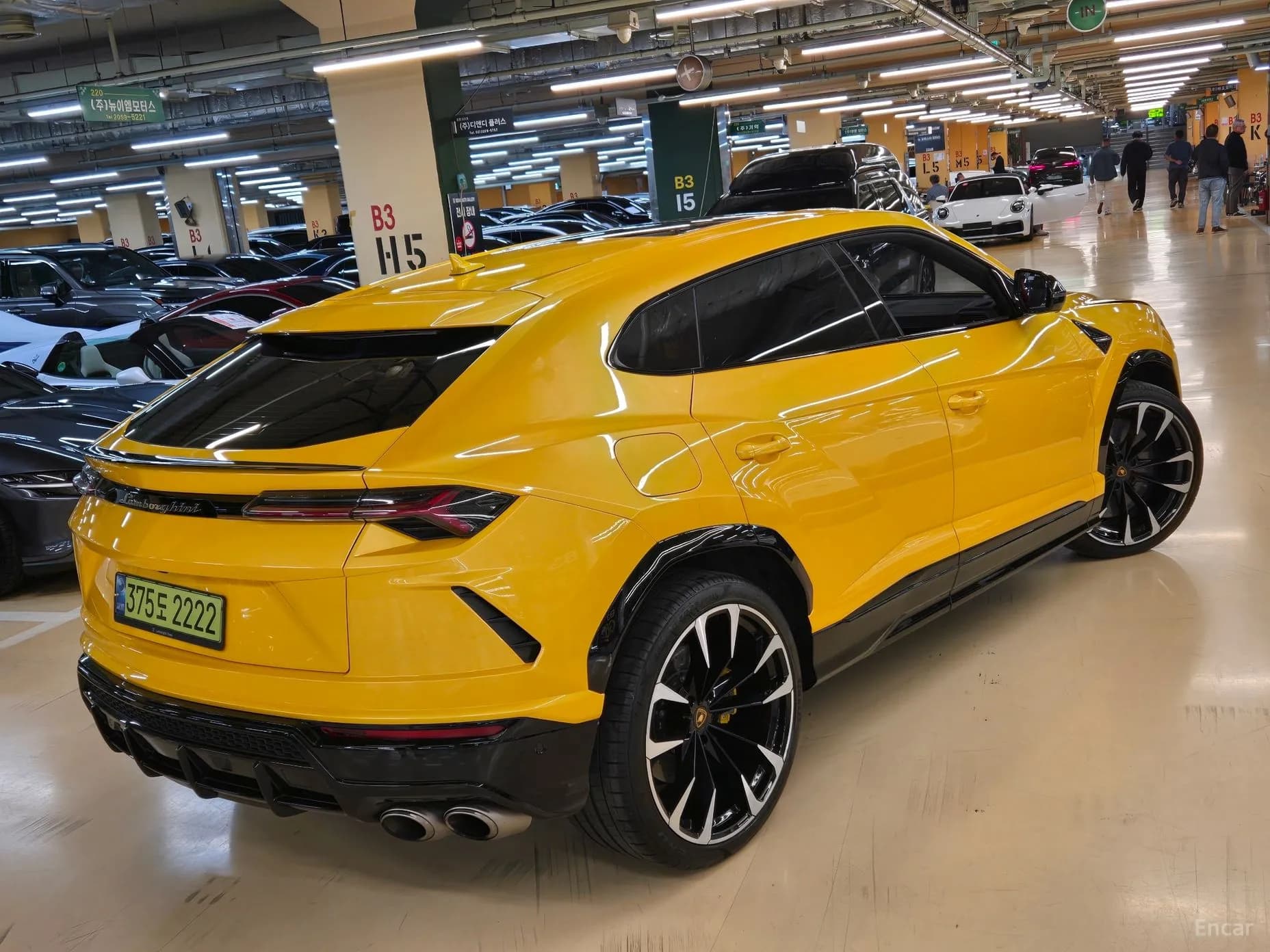 Urus