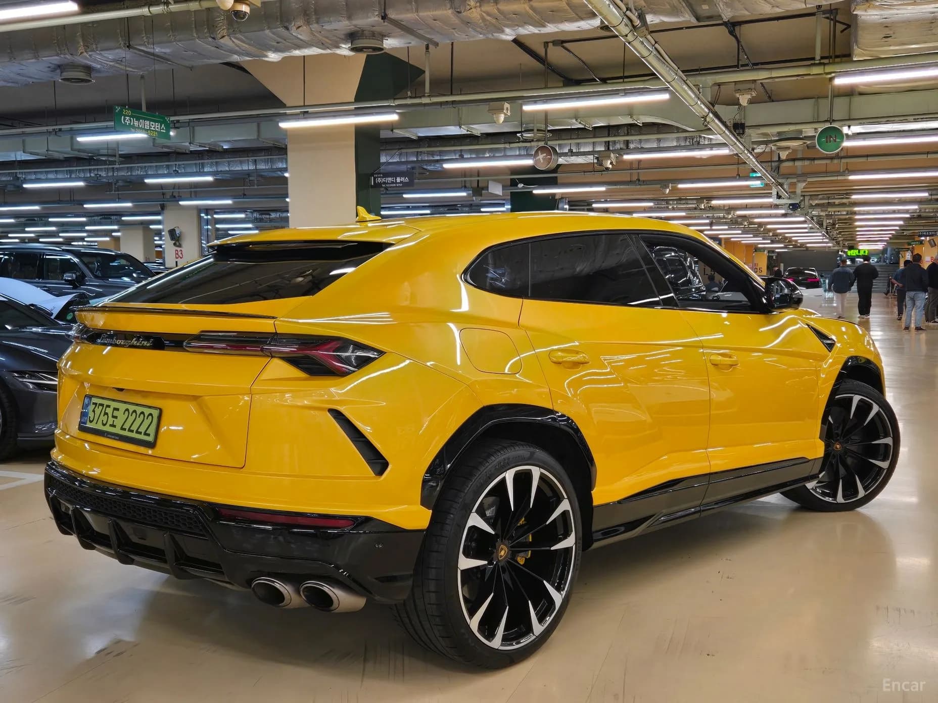 Urus