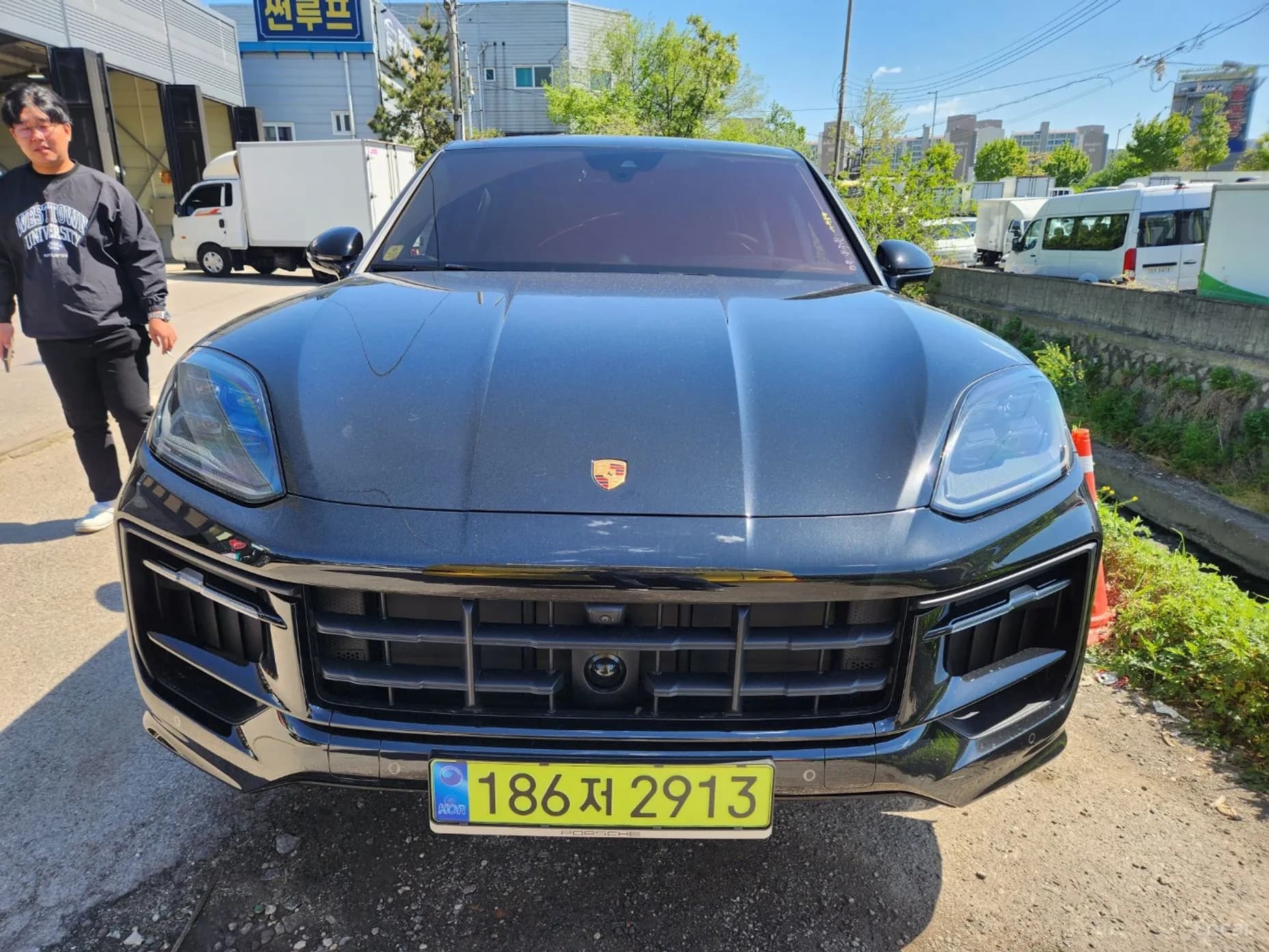 Cayenne (PO536)