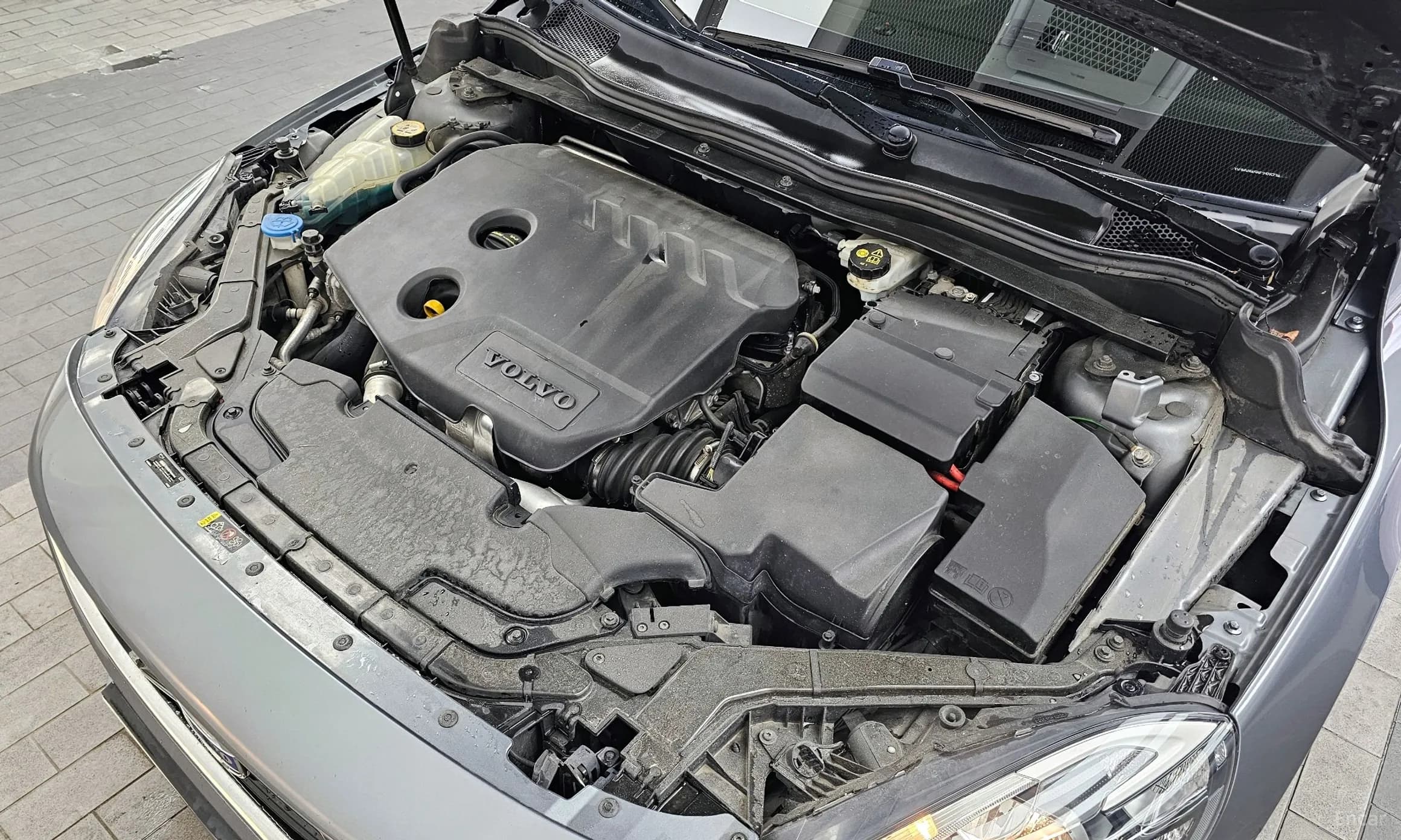 V40