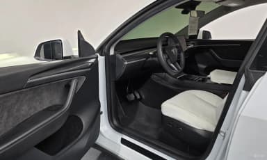 Model Y