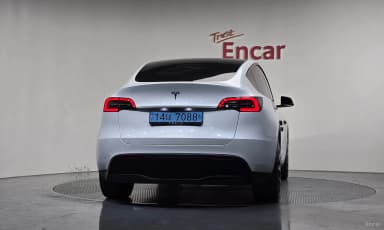 Model Y