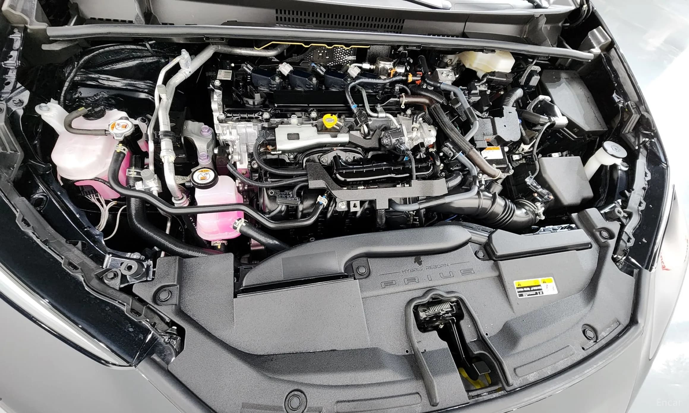 Prius 5th Generation