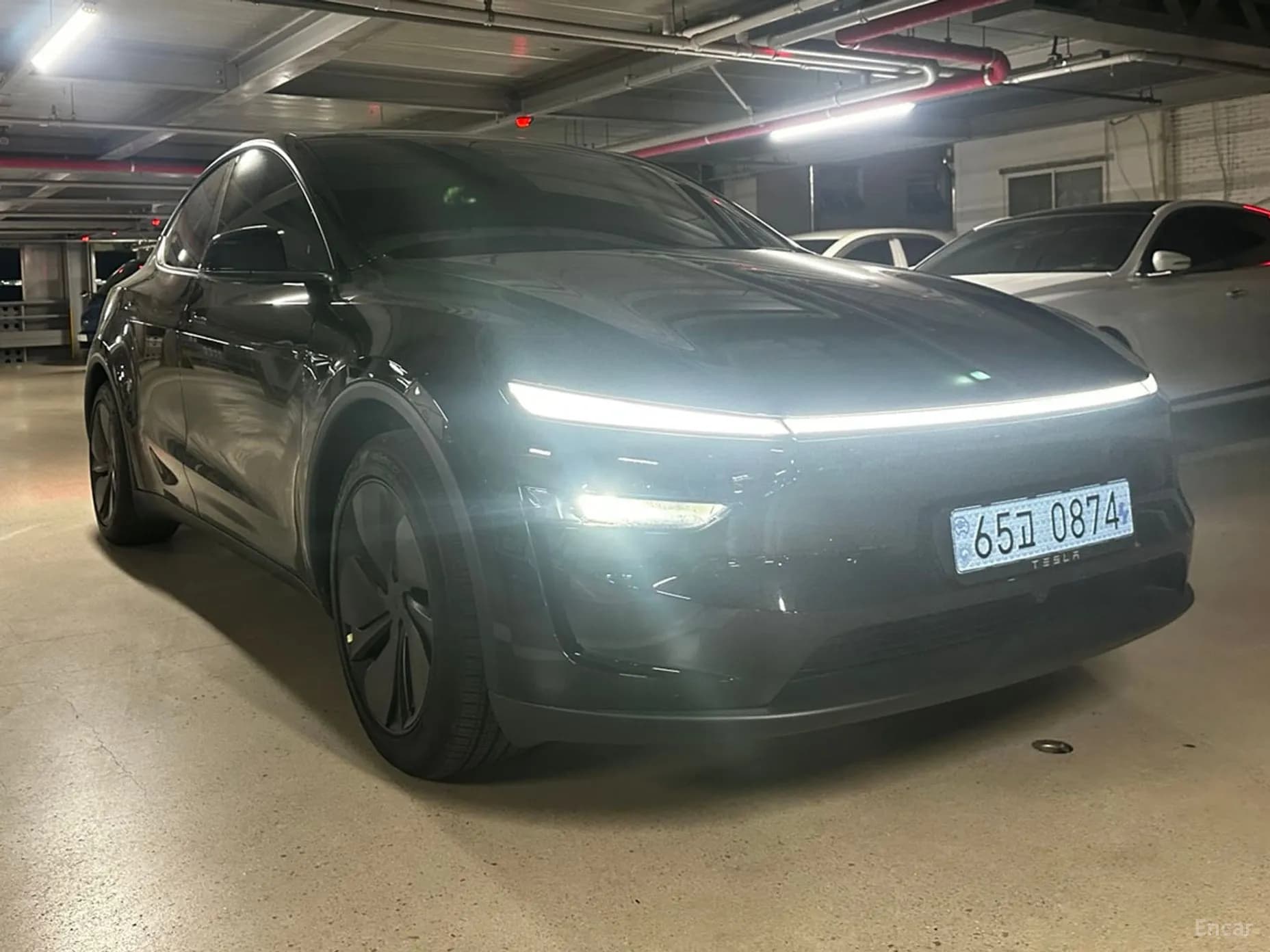 Model Y