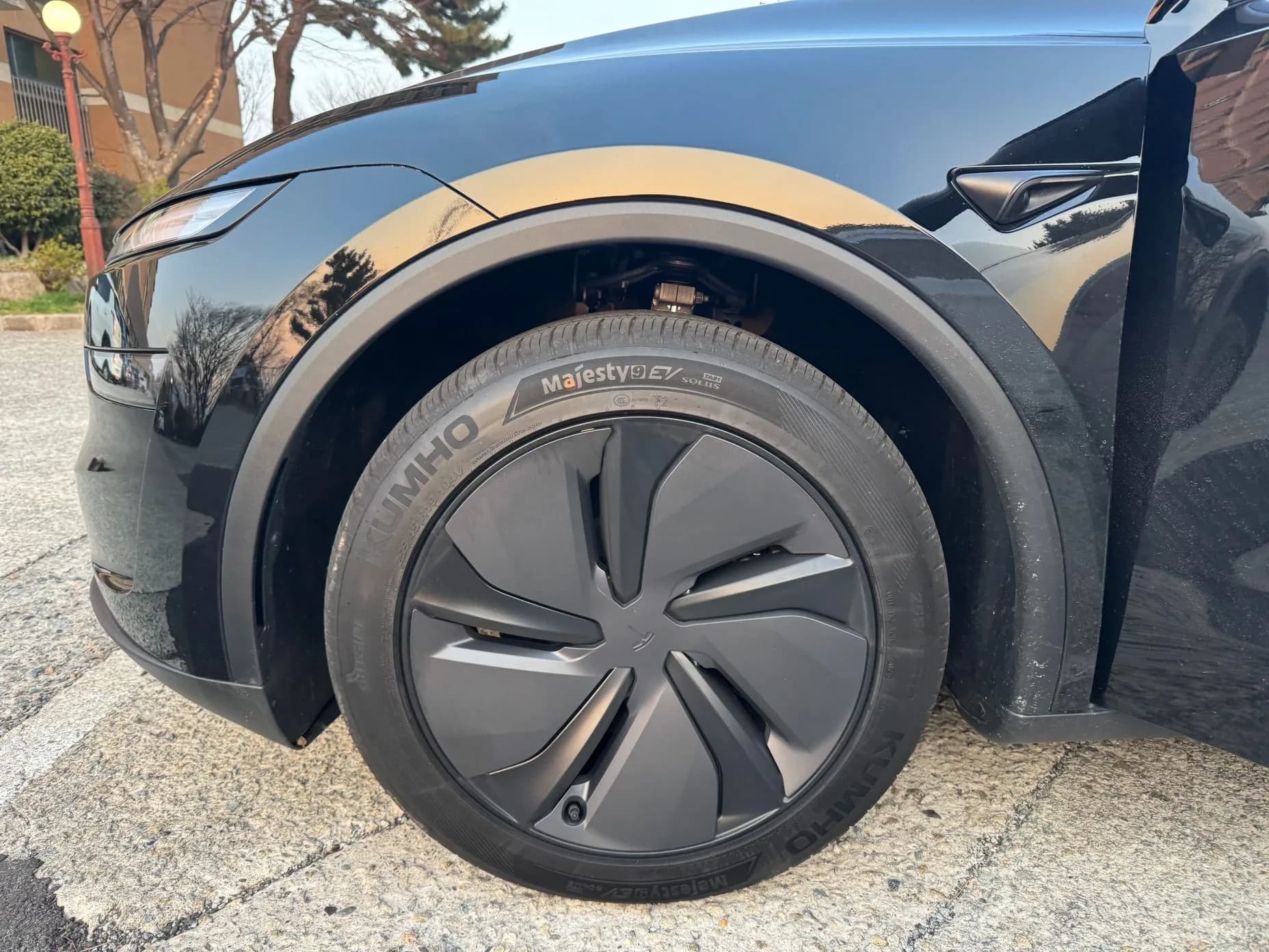 Model Y