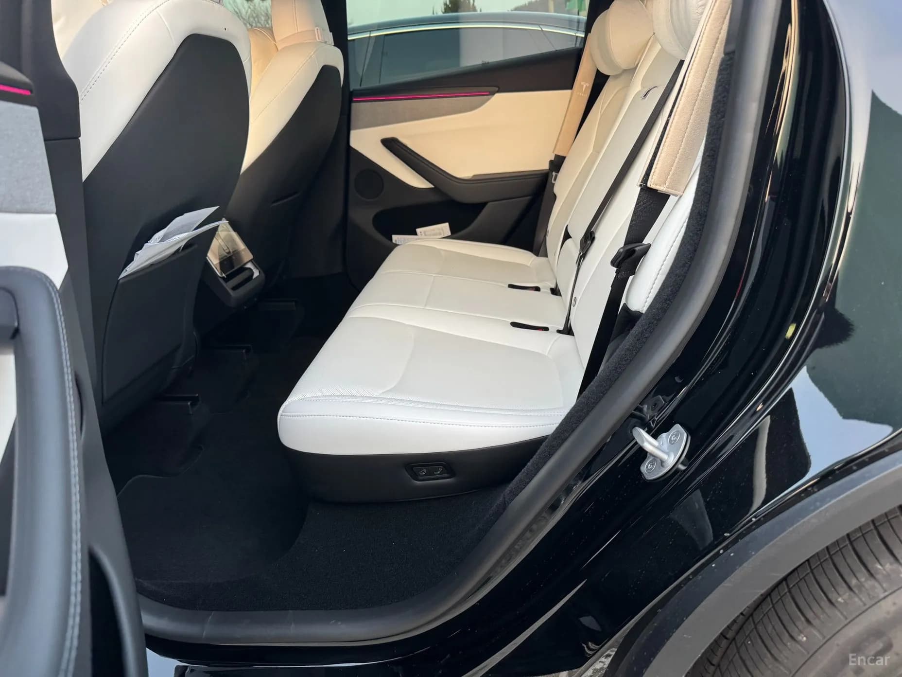 Model Y