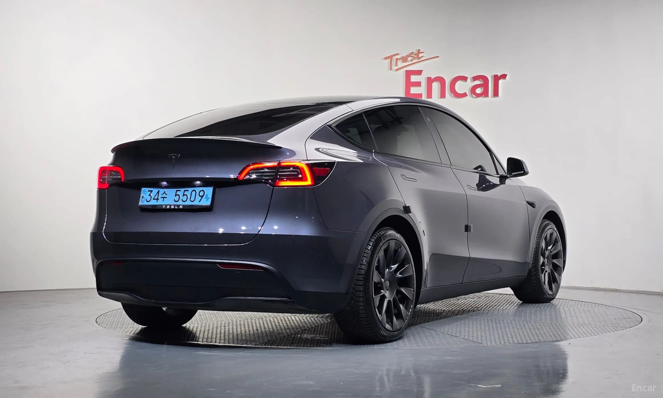 Model Y