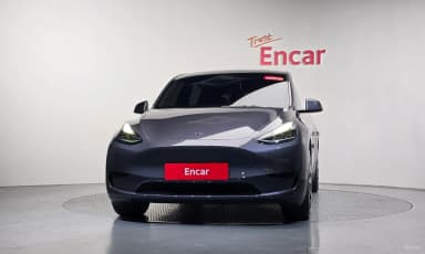 Model Y