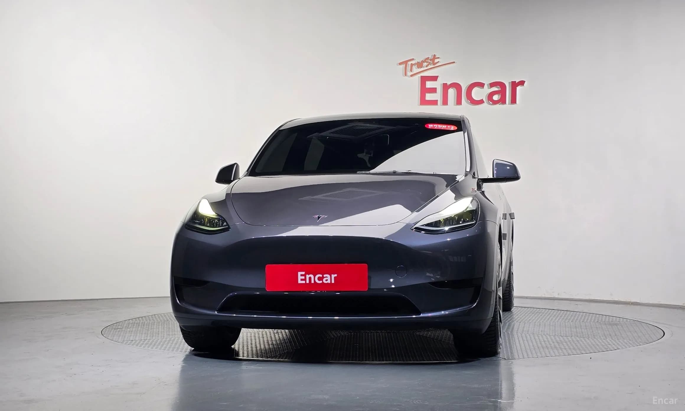 Model Y