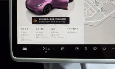 Model Y