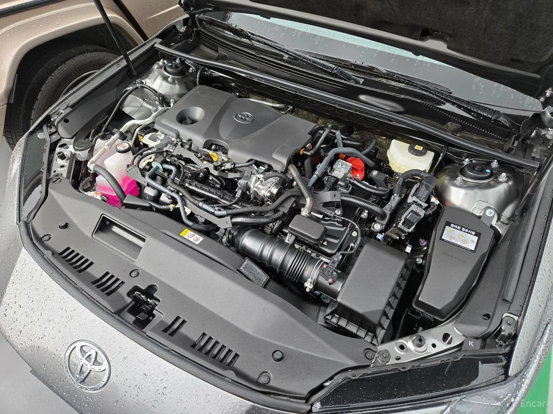 Camry (XV80)