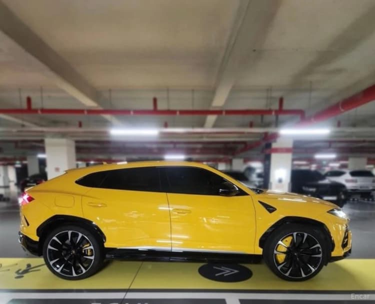 Urus