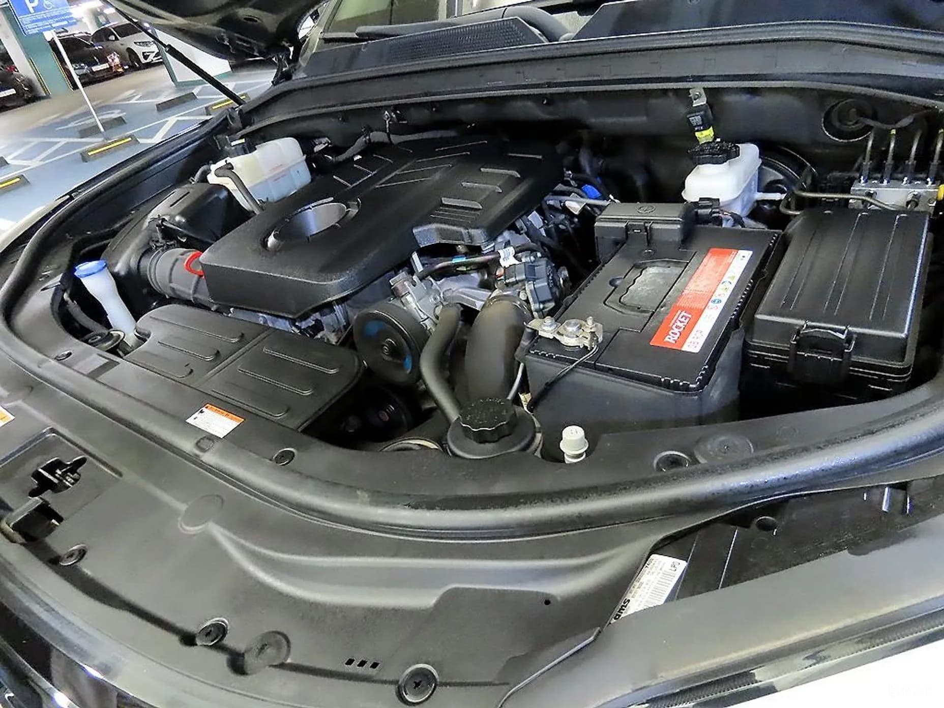 Rexton Sports