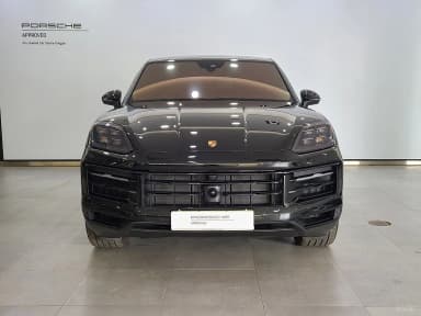 Cayenne (PO536)