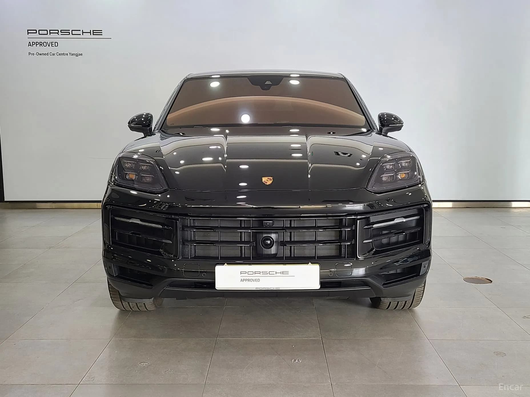 Cayenne (PO536)