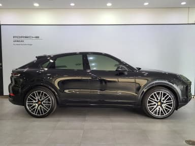 Cayenne (PO536)