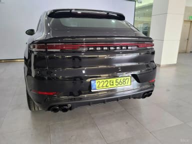 Cayenne (PO536)