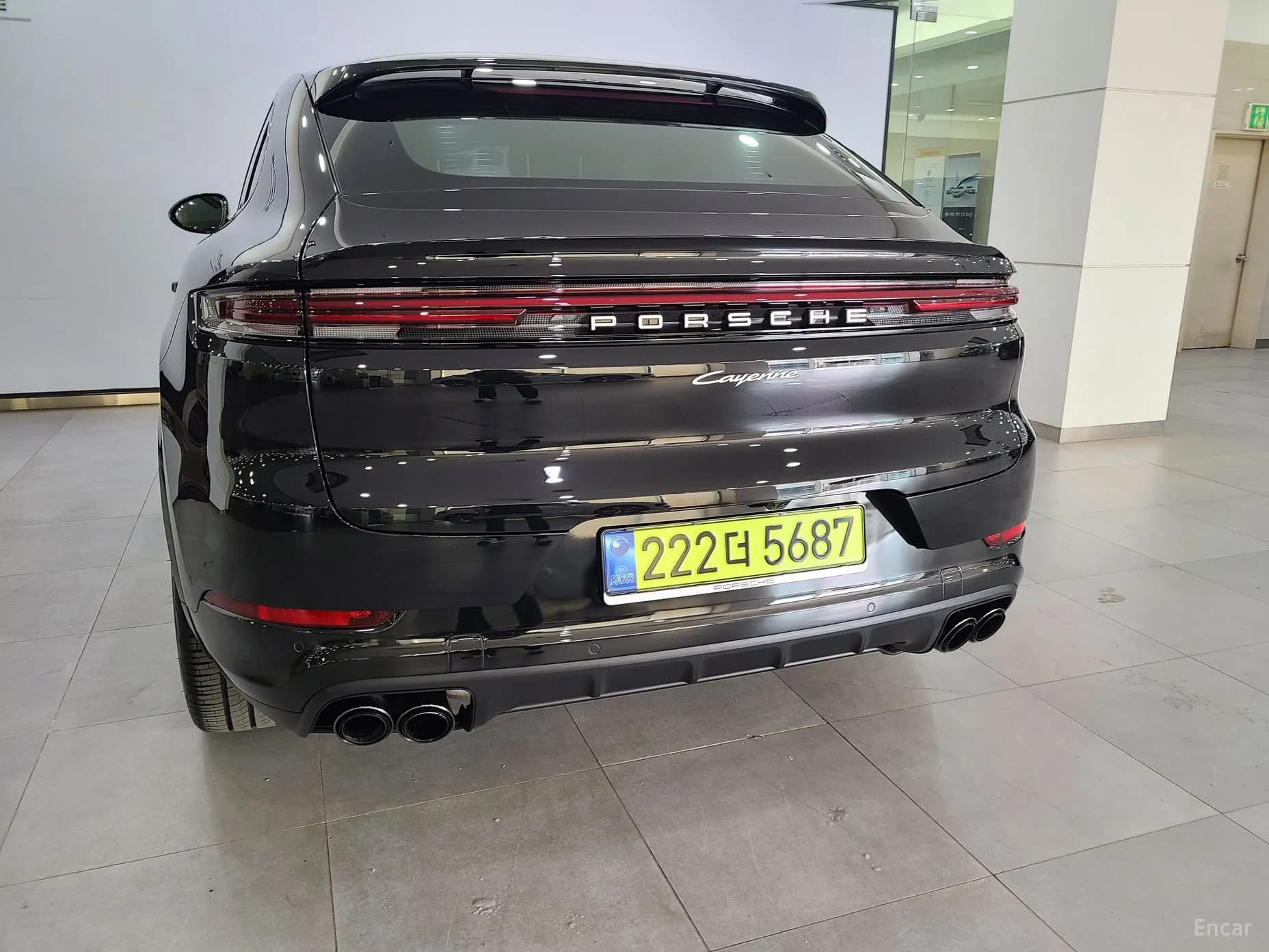 Cayenne (PO536)