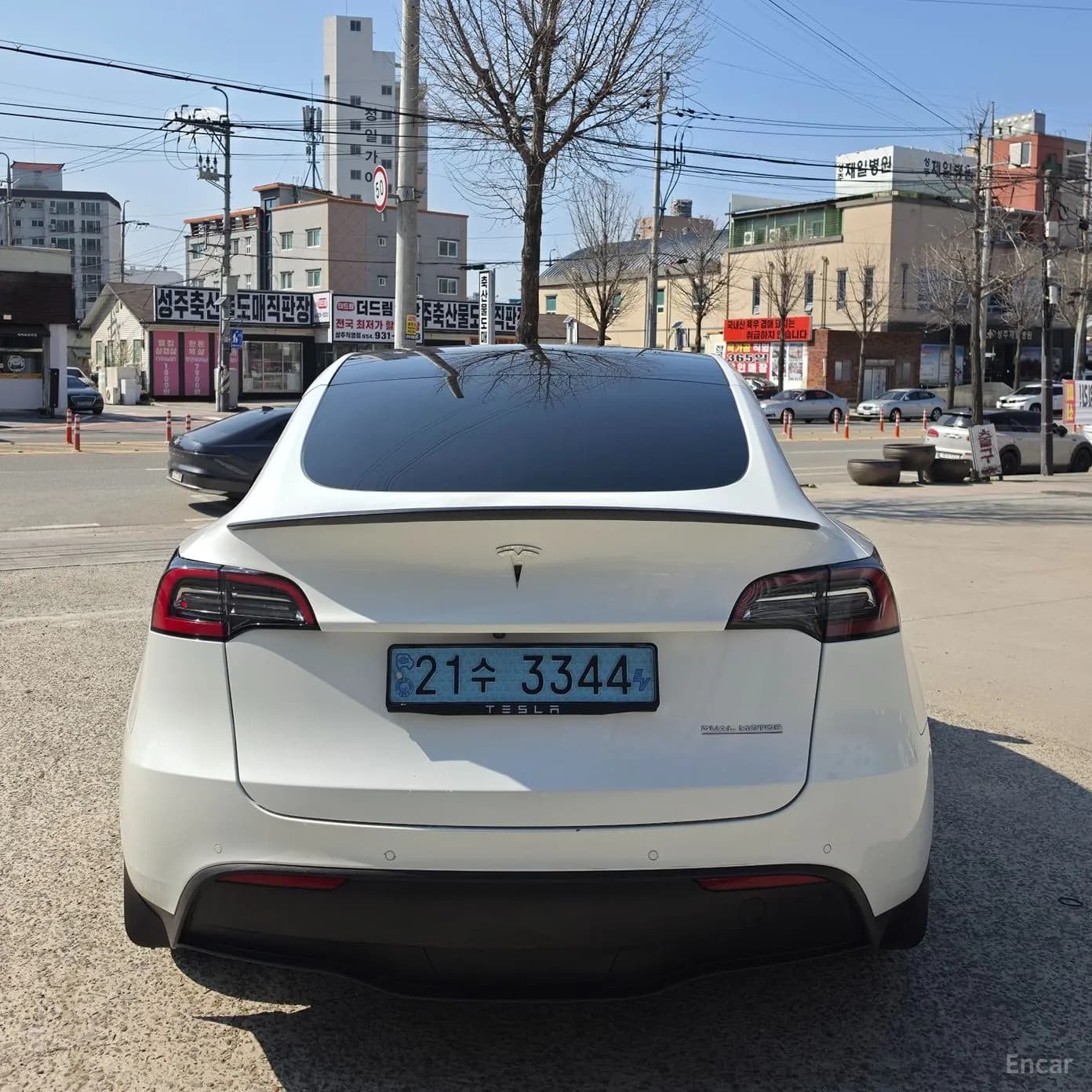 Model Y