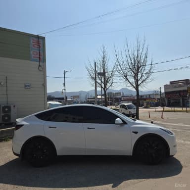 Model Y