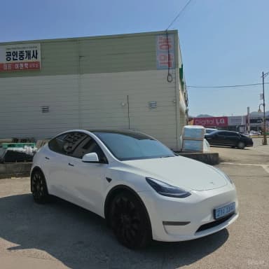 Model Y