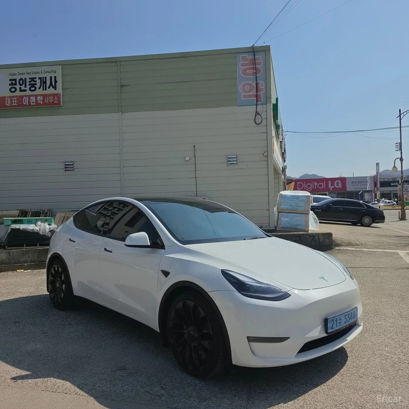 Model Y