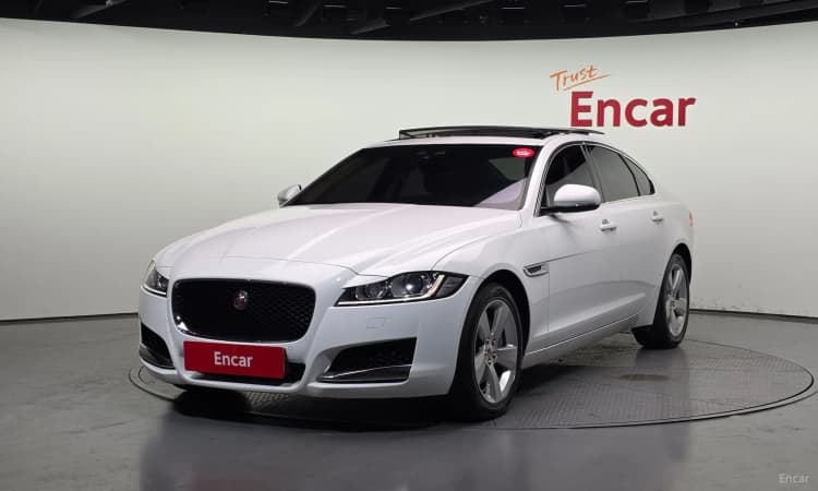 XF (x260)