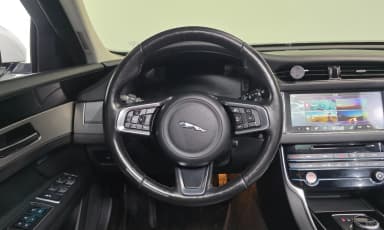 XF (x260)
