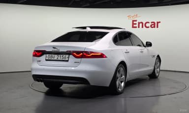 XF (x260)
