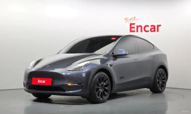 Model Y