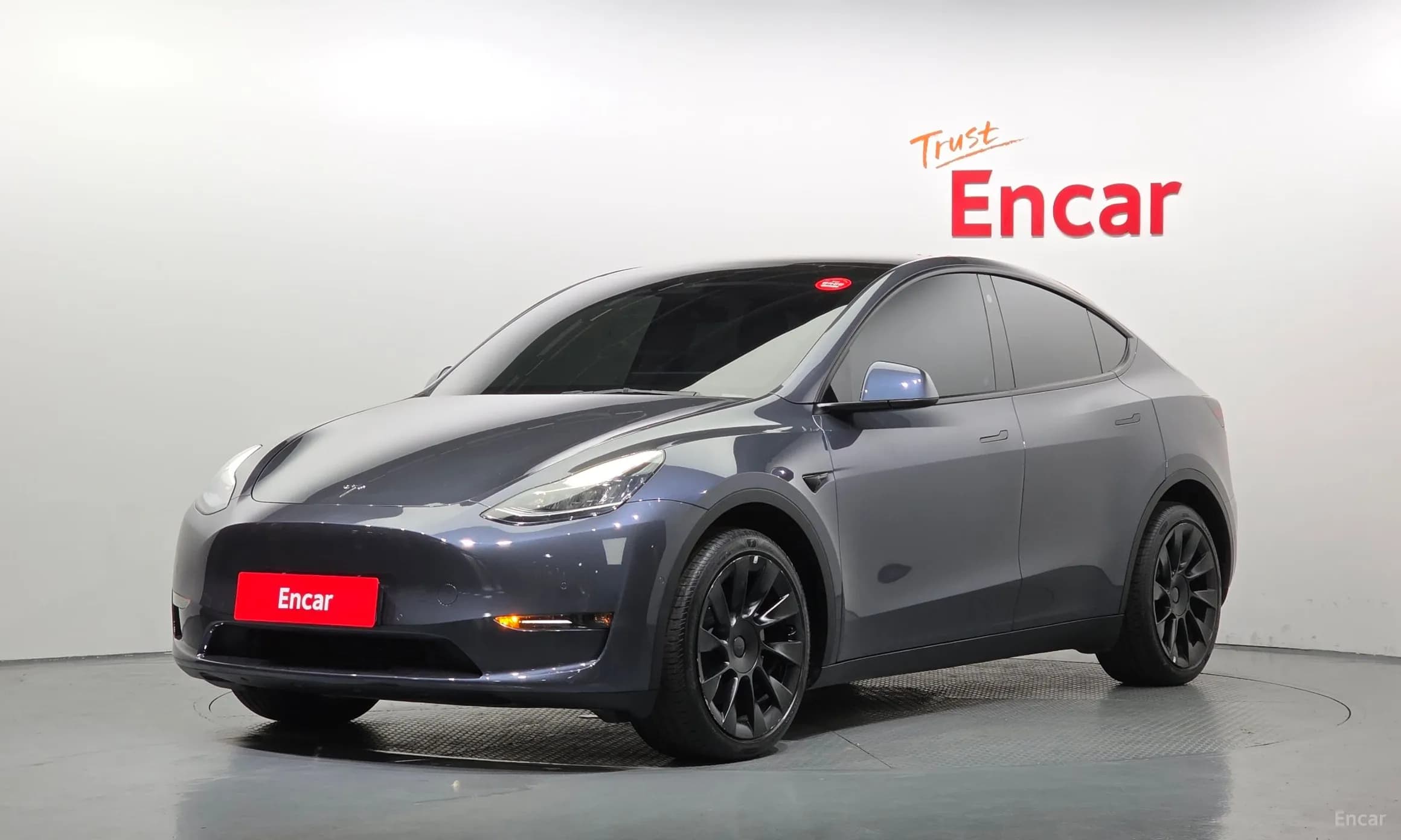 Model Y
