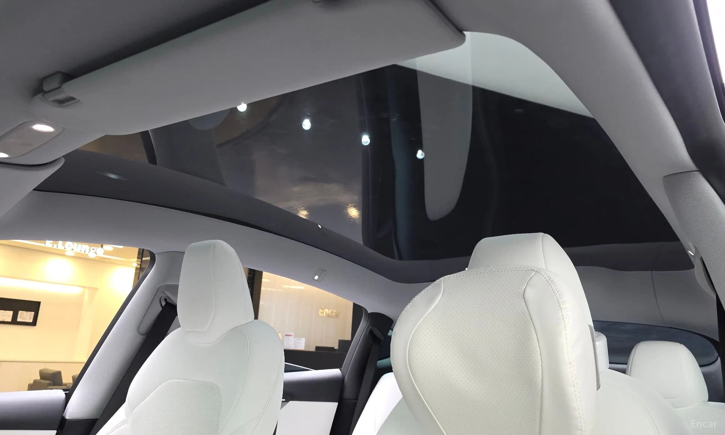 Model Y