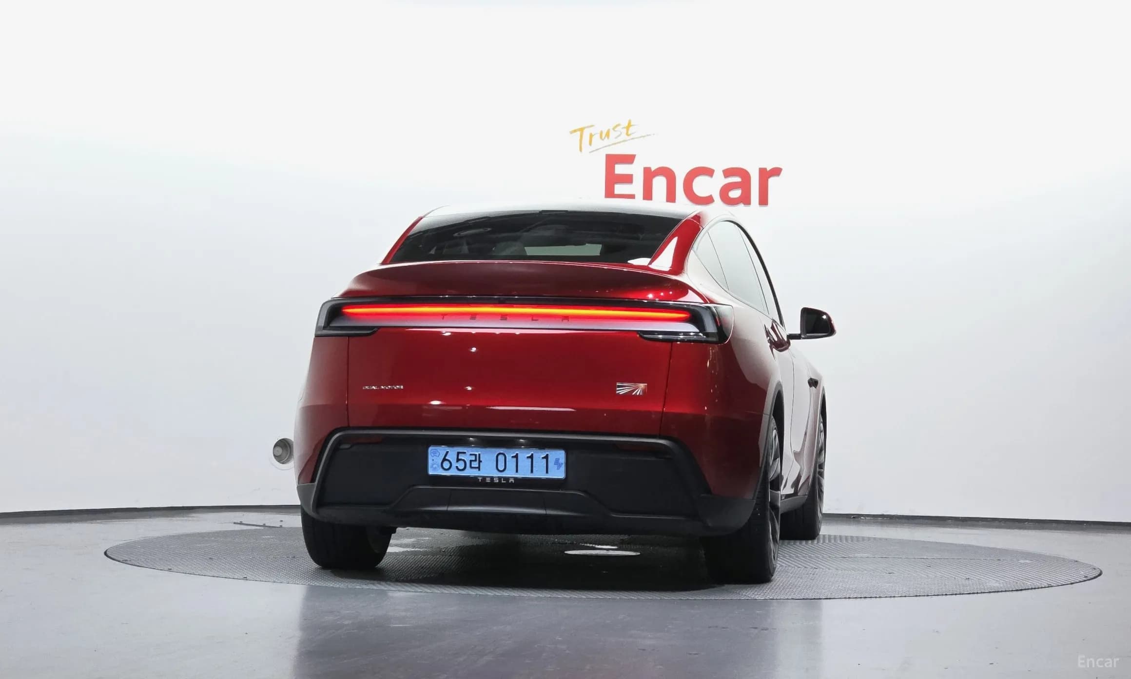 Model Y