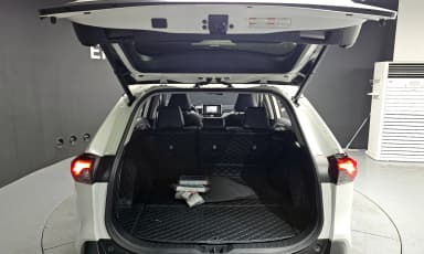 RAV4 5th Generation