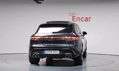 Macan