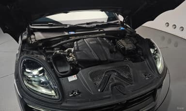 Macan