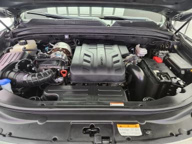 Rexton Sports