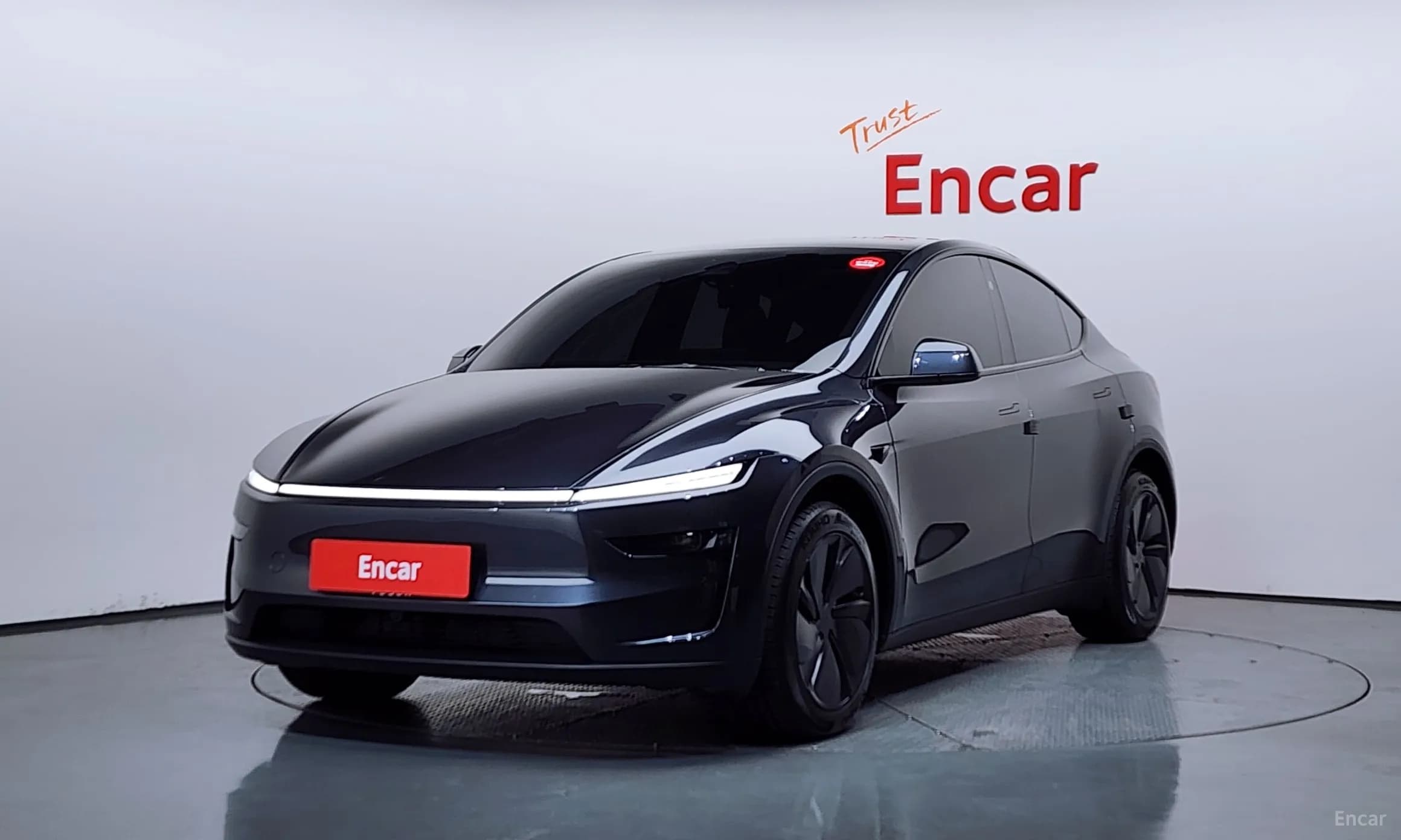 Model Y