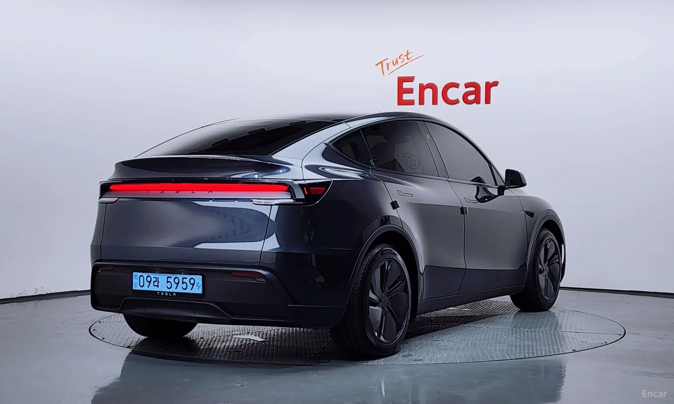 Model Y