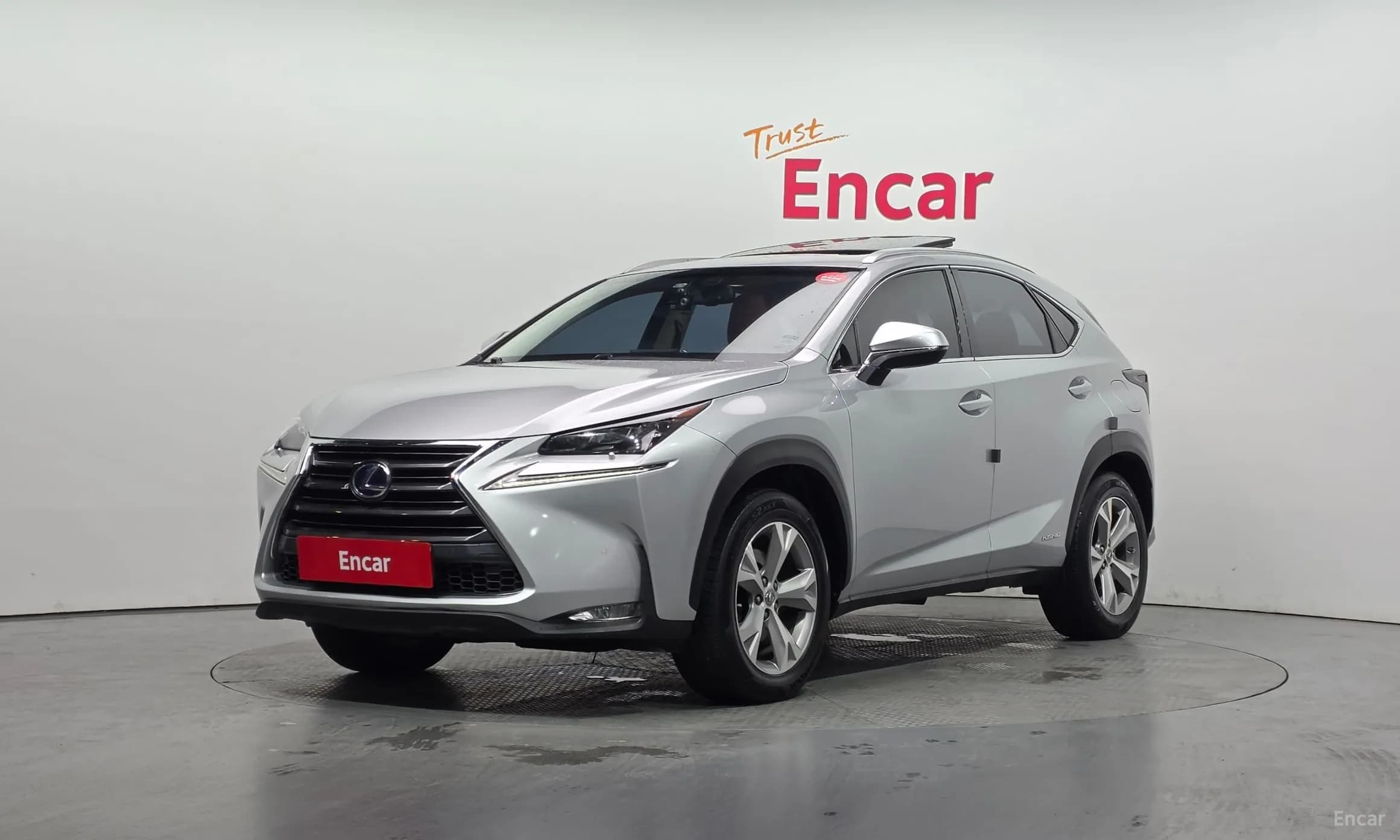 NX300h
