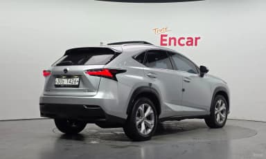 NX300h