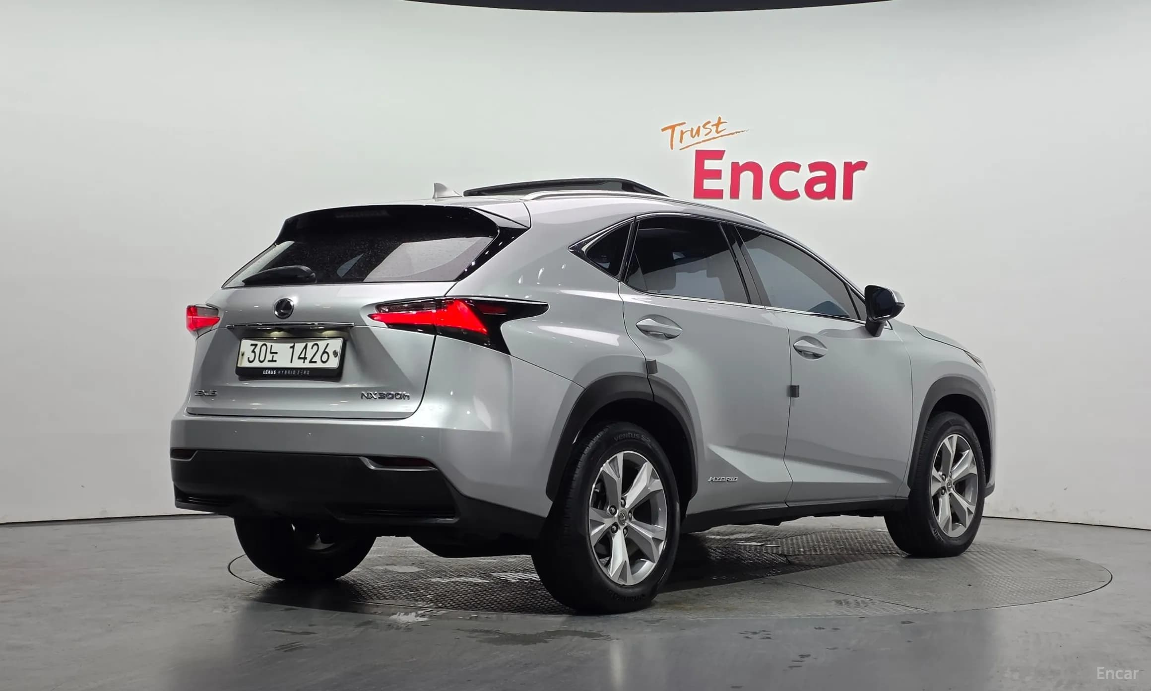 NX300h