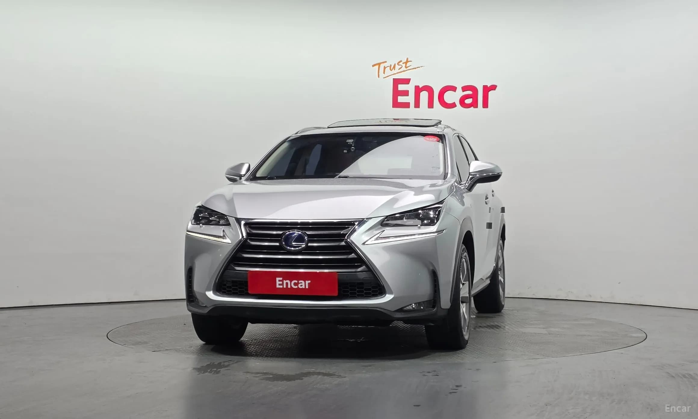 NX300h