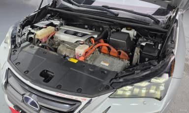 NX300h