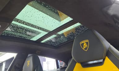 Urus