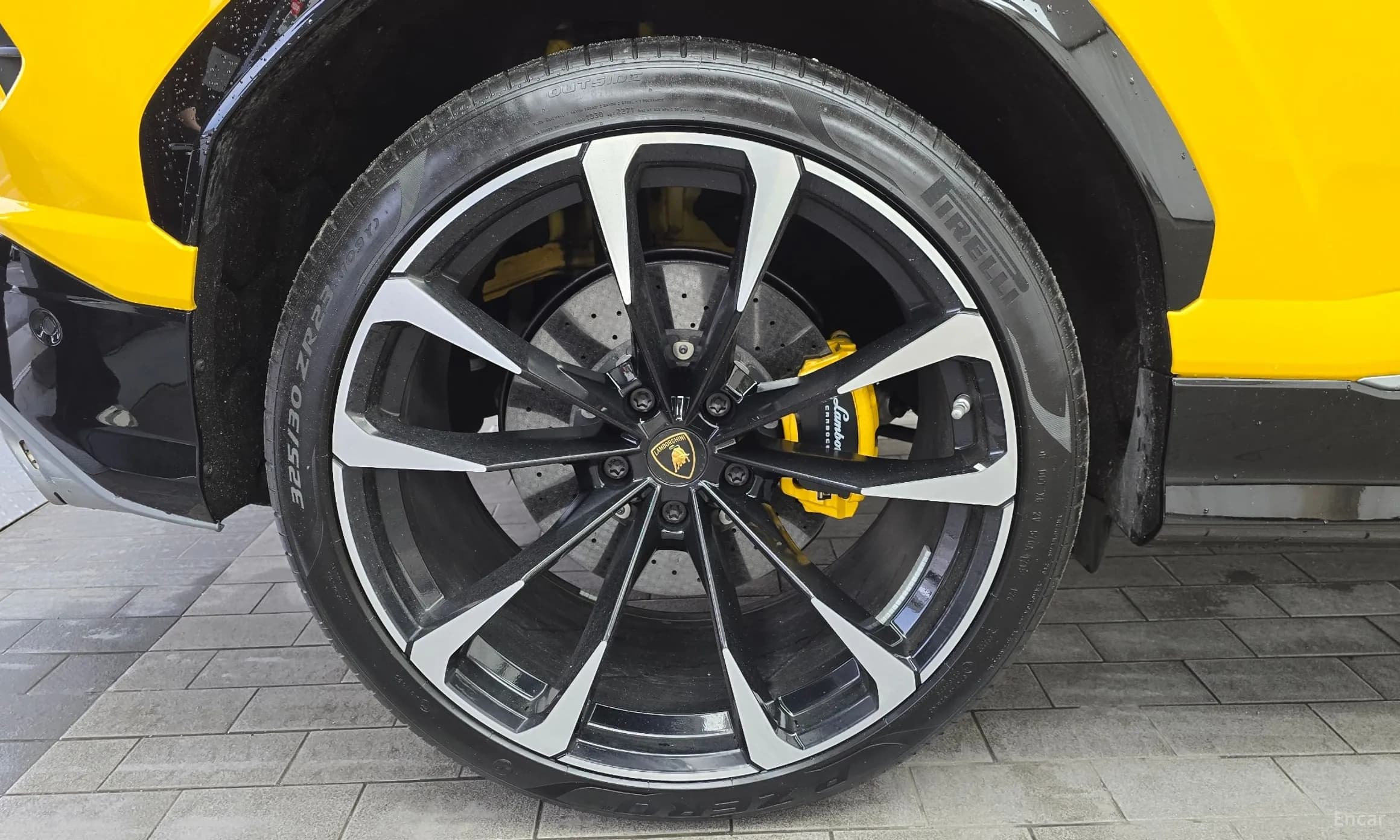 Urus